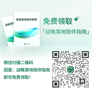 战略落地陪伴指南